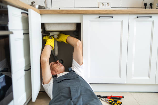 Best Drain Cleaning Services  in Selbyville, DE