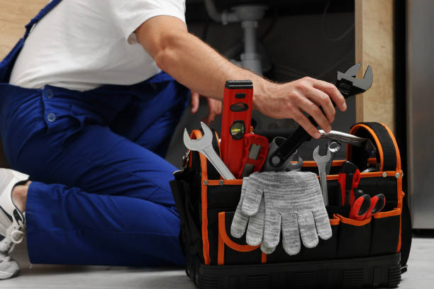 Best Local Plumber Services  in Selbyville, DE